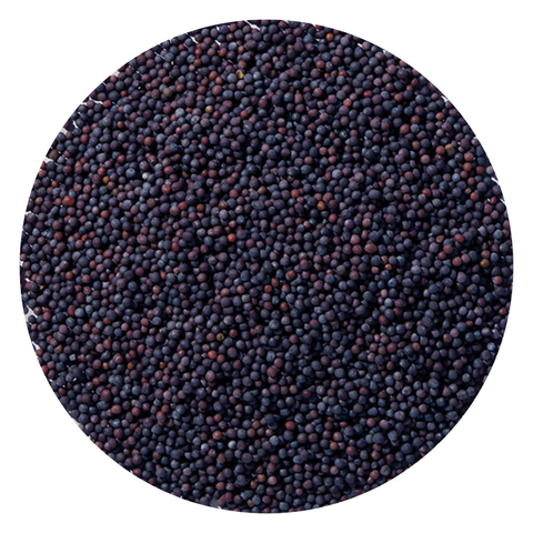 Brown Mustard Seed Whole Organic