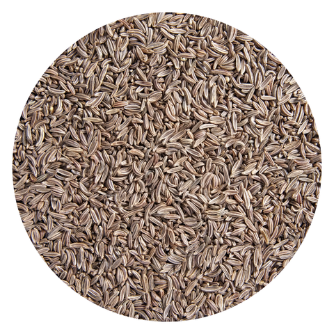 Caraway Seed Organic