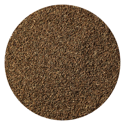 Celery Seed Organic