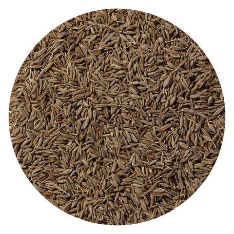 Cumin Seed Whole Organic