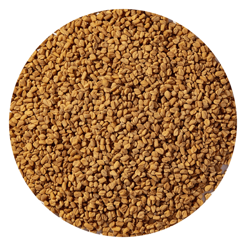 Fenugreek Seed Organic