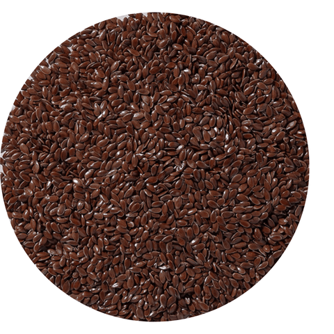 Flax Seed Organic