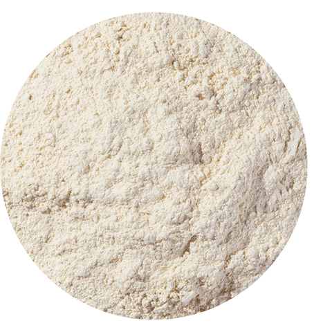 Garlic Powder Organic