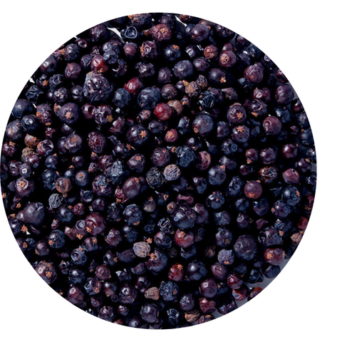 Juniper Berries Organic