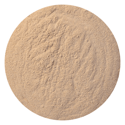 Maca Root Powder Gelatinized Organic