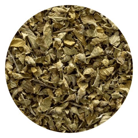 Mexican Oregano Leaf C/S