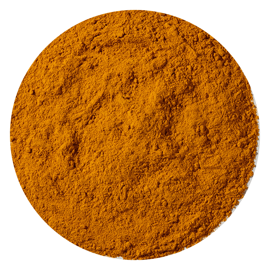 Turmeric Root Powder Under Microscope Turmeric Root Powder Organic – Eherbz Organic Spice Market